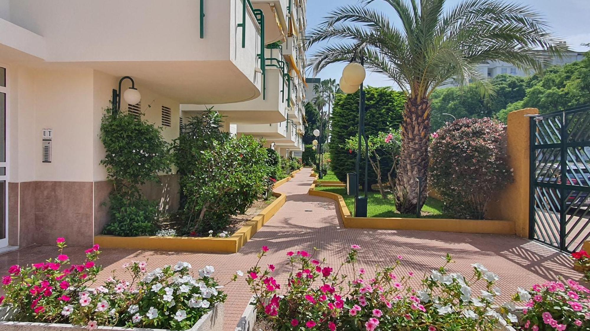 Cancun Playa De Gandia - Solo Alquiler Familias Eksteriør bilde